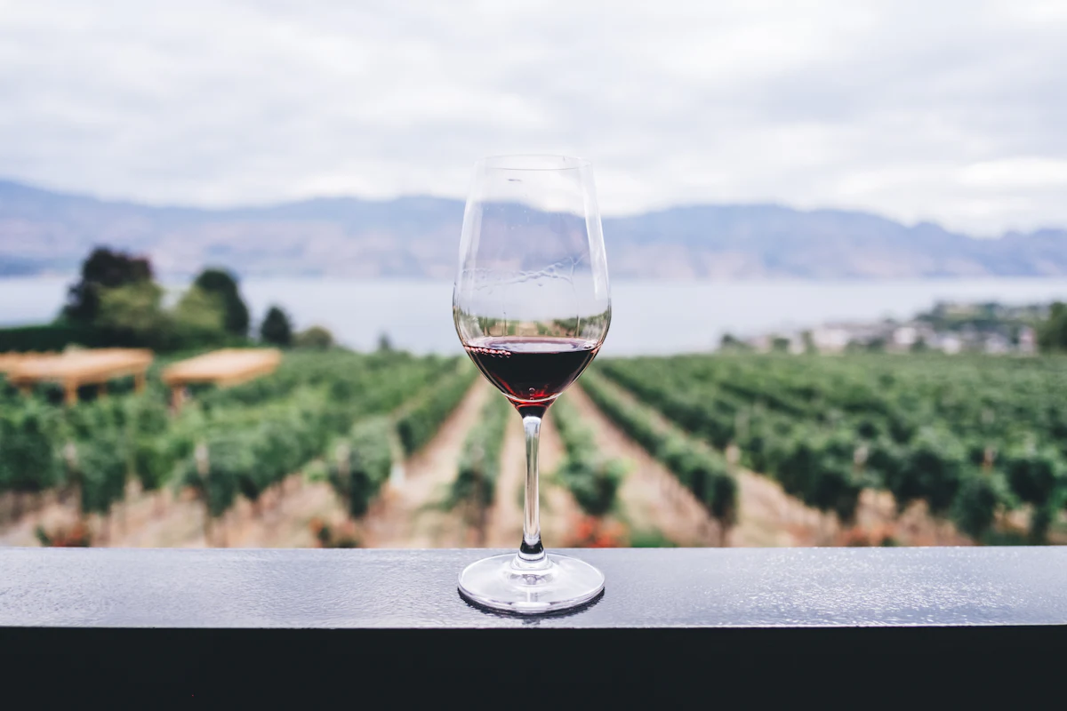 A glass of red Pinot Noir held up against a sunlit Oregon vineyard