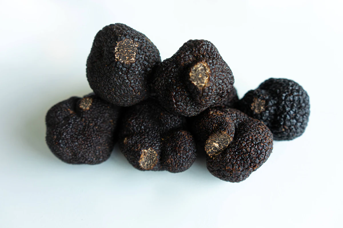 Fresh Oregon truffles arranged on a wooden surface, ready for shaving
